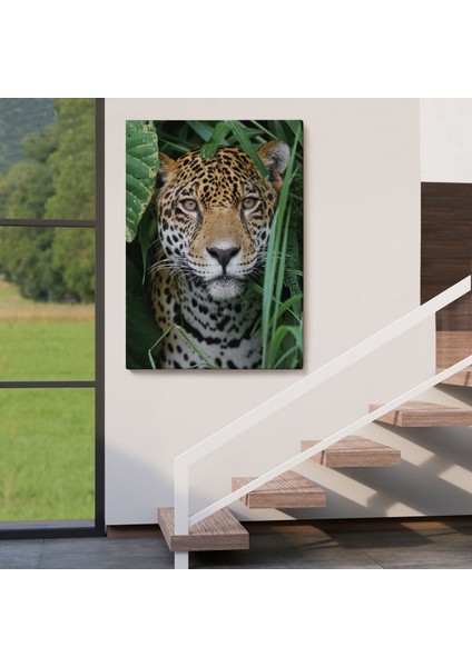 Leopar Dekoratif Kanvas TABLO-5960 fırsatları