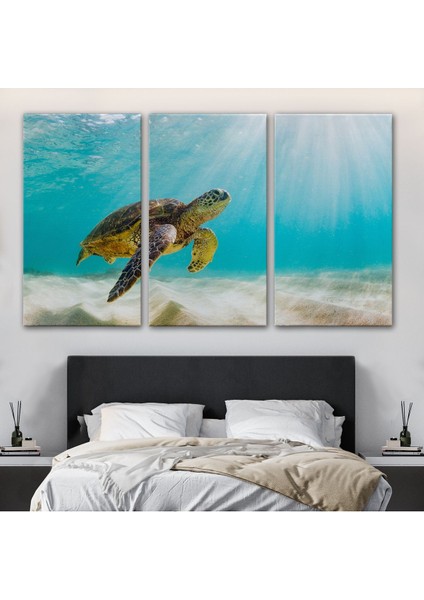 Deniz Kaplunbağası Dekoratif Kanvas Duvar Tablosu(Üç PARÇA)-3662 modelleri
