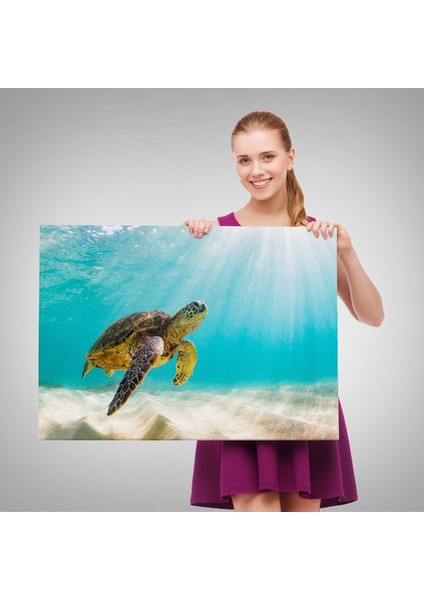 Deniz Kaplunbağası Dekoratif Kanvas Duvar Tablosu(Üç PARÇA)-3662 fırsatları