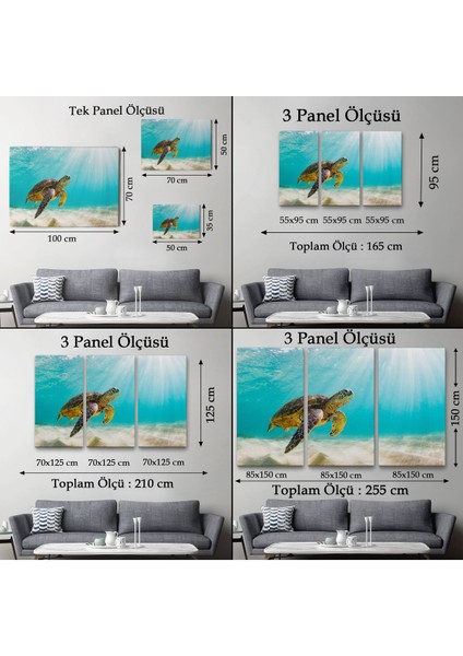 Deniz Kaplunbağası Dekoratif Kanvas Duvar Tablosu(Üç PARÇA)-3662
