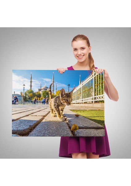 Sultan Ahmet Camii Önündeki Yavru Kedi TABLOSU-6507 modelleri