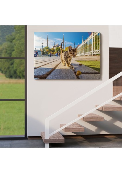 Sultan Ahmet Camii Önündeki Yavru Kedi TABLOSU-6507 fırsatları