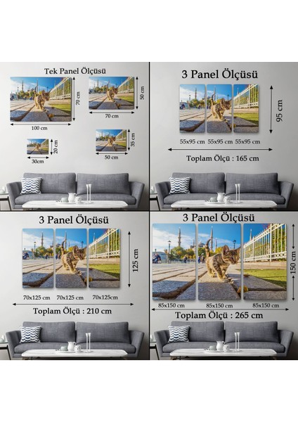 Sultan Ahmet Camii Önündeki Yavru Kedi TABLOSU-6507