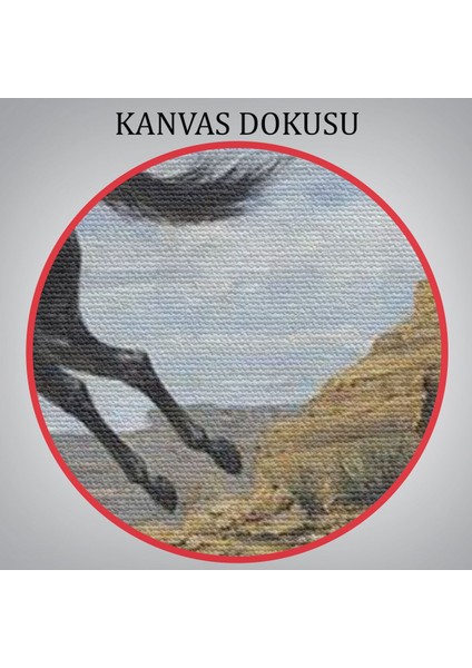Atı Yakalamaya Çalışan Kavboy TABLOSU-6537