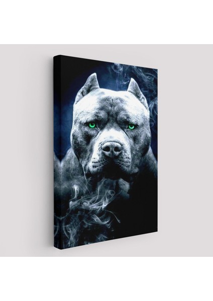 Pit Bull Yeşil Gözlü Amerikan Bully Köpek Kanvas TABLO-5259