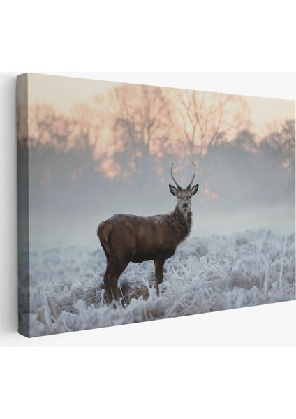 Geyik Dekoratif Kanvas Tablo 1166