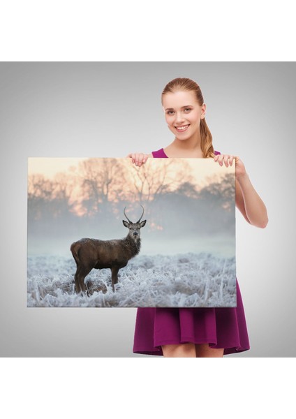 Geyik Dekoratif Kanvas Tablo 1166 fırsatları
