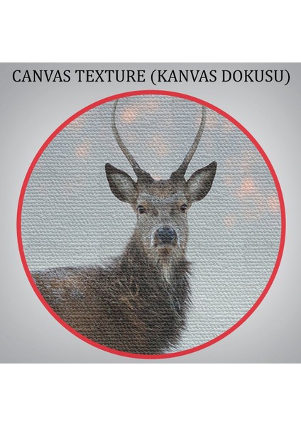 Geyik Dekoratif Kanvas Tablo 1166