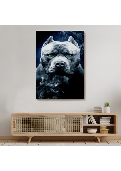 Pit Bull Yeşil Gözlü Amerikan Bully Köpek Kanvas TABLO-5259