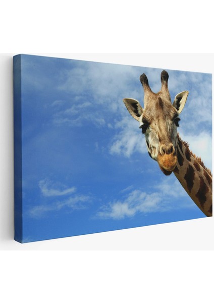 Zürafa Dekoratif Kanvas Tablo 1116