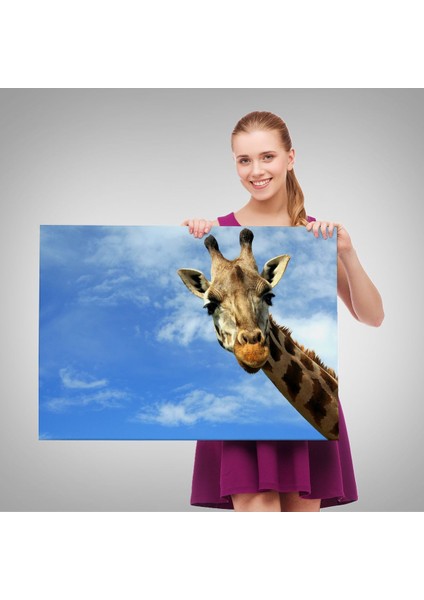 Zürafa Dekoratif Kanvas Tablo 1116 fırsatları