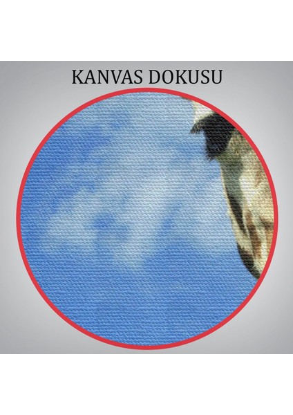 Zürafa Dekoratif Kanvas Tablo 1116