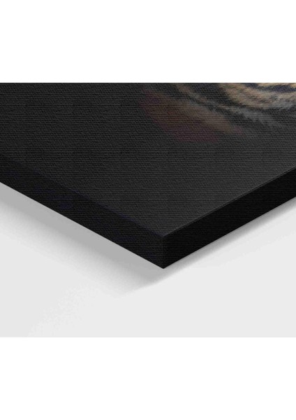 Kaplan Gözleri Dekoratif Kanvas Tablo 1161 modelleri