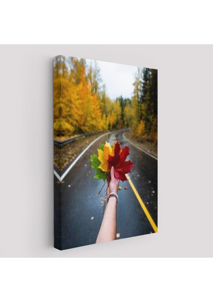 Sonbaharın Renkli Yaprakları ve Yol Manzarası Duvar TABLOSU-6089