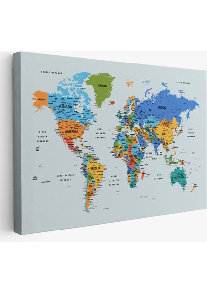 Türkçe Detaylı Dünya Haritası Dekoratif Renkli Zeminli Kanvas Tablo 1707