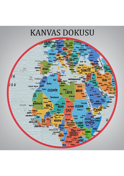 Türkçe Detaylı Dünya Haritası Dekoratif Renkli Zeminli Kanvas Tablo 1707