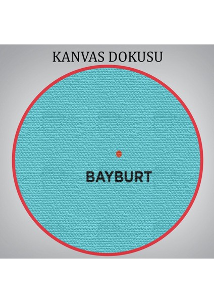 Bayburt Ili ve Ilçeler Haritası Dekoratif Kanvas Tablo 1288