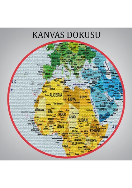 Detaylı Dünya Haritası Dekoratif Renkli Zeminli Kanvas Tablo 1700