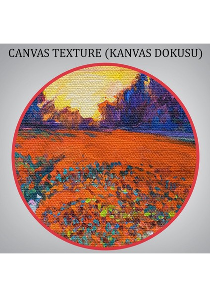 Haşhaş Tarlasının Yağlı Boya TABLOSU-1211