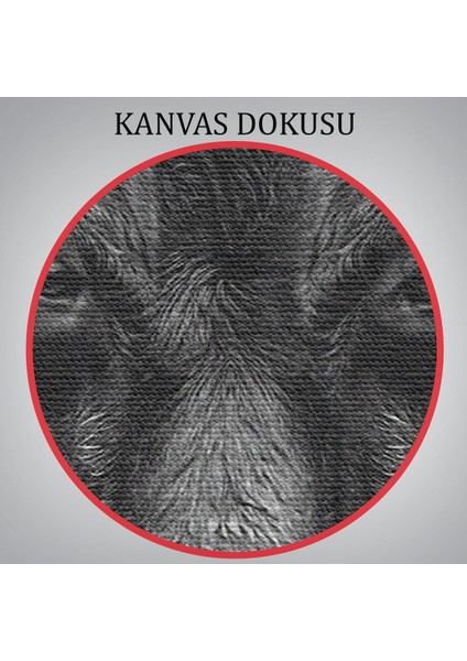 Boğa Dekoratif Kanvas TABLO-5809 indirimleri