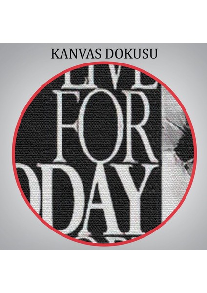 Dünden Öğrenin Bugünü Yaşayın Yarını Umut Edin Kanvas Tablo, Albert EINSTEIN-5275 indirimleri