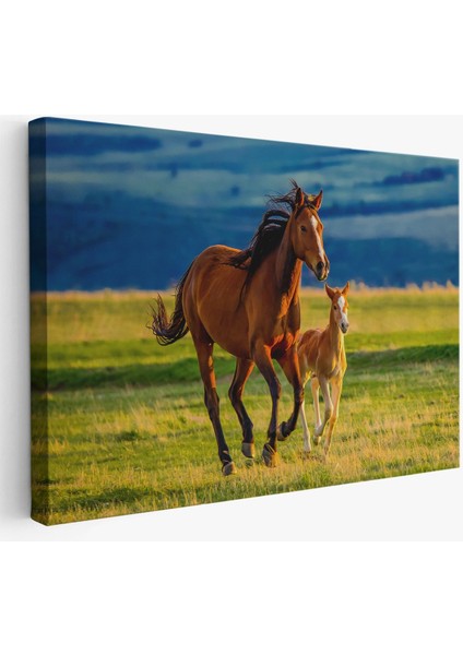 At ve Tay Manzaralı Dekoratif Kanvas Tablo 1173