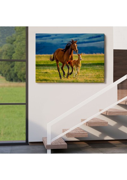 At ve Tay Manzaralı Dekoratif Kanvas Tablo 1173 indirimleri