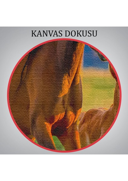 At ve Tay Manzaralı Dekoratif Kanvas Tablo 1173