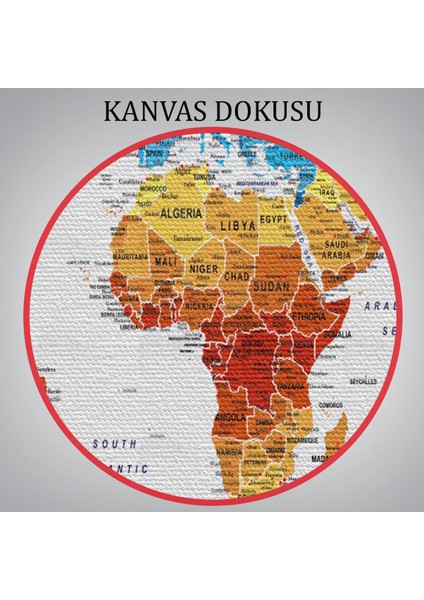 Dünya Haritası Son Derece Ayrıntılı Eğitici ve Bayraklı Dekoratif Kanvas Tablo 3238
