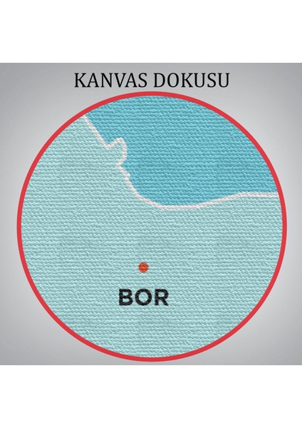 Niğde Ili ve Ilçeler Haritası Dekoratif Kanvas Tablo 1432