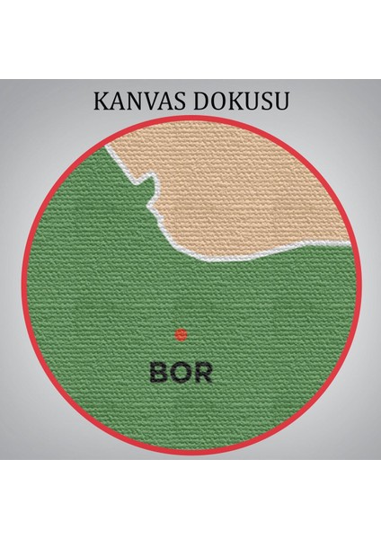 Niğde Ili ve Ilçeler Haritası Dekoratif Kanvas Tablo 1431