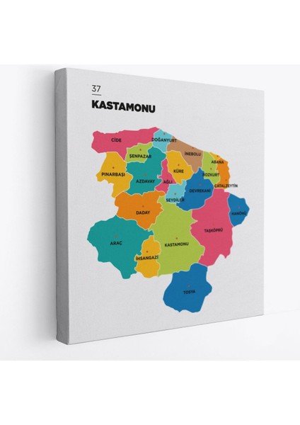 Kastamonu Ili ve Ilçeler Haritası Dekoratif Kanvas Tablo 1382