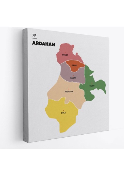 Ardahan Ili ve Ilçeler Haritası Dekoratif Kanvas Tablo 1271