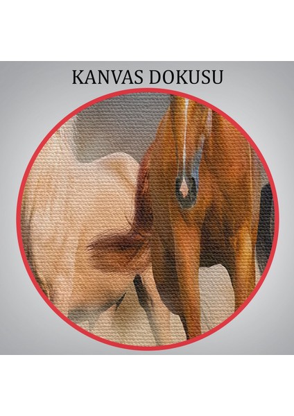 Koşan Atlar Dekoratif Kanvas Tablo 1126