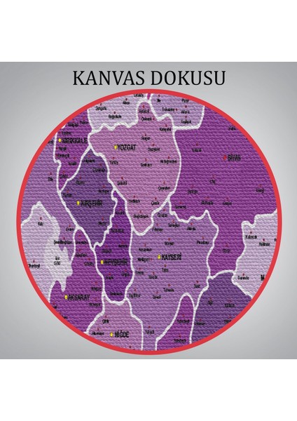 Türkiye Haritası Kanvas Tablo Il ve Ilçeli Ayrıntılı Eğitici Dekoratif Tablo 3025