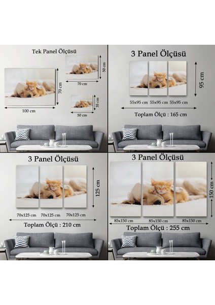 Golden Köpek Ile Uyuyan Yavru Kedi Dekoratif Kanvas Tablo 1176