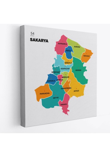 Sakarya Ili ve Ilçeler Haritası Dekoratif Kanvas Tablo 1442