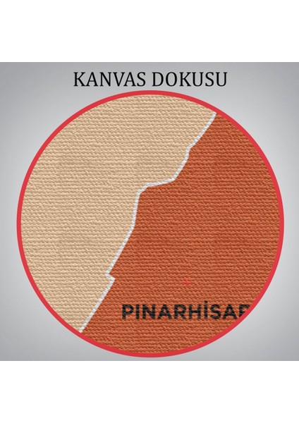 Kırklareli Ili ve Ilçeler Haritası Dekoratif Kanvas Tablo 1395