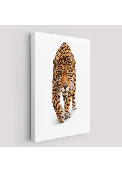 Vahşi Leopar TABLOSU-5957