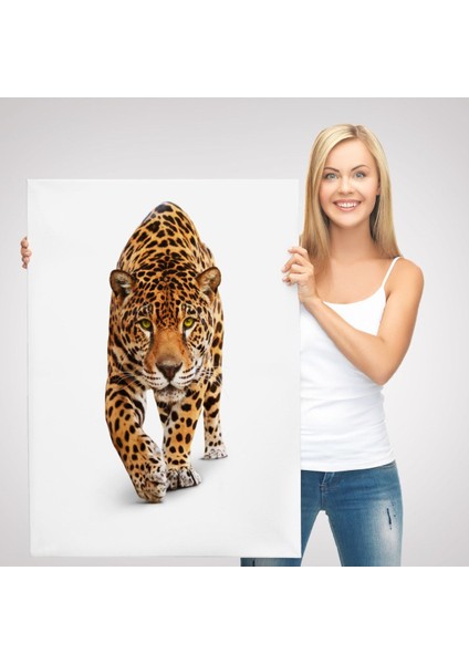 Vahşi Leopar TABLOSU-5957 modelleri