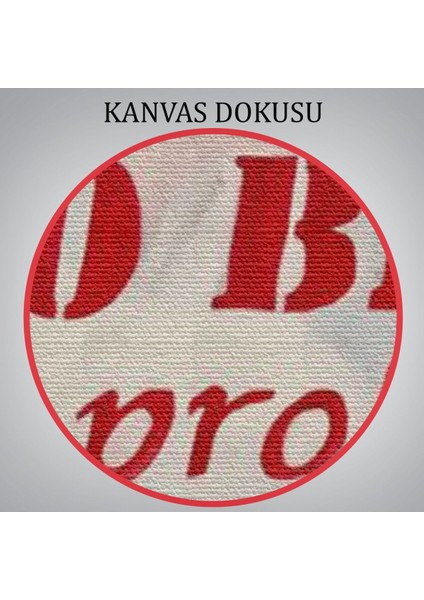 Sütyen Yok Sorun Yok Kanvas TABLO-5857