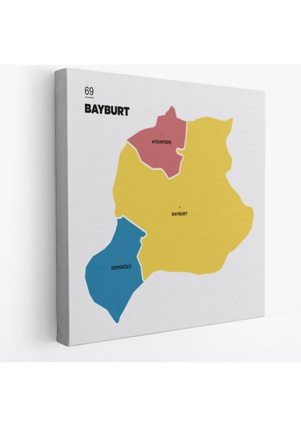 Bayburt Ili ve Ilçeler Haritası Dekoratif Kanvas Tablo 1289