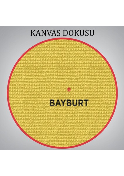 Bayburt Ili ve Ilçeler Haritası Dekoratif Kanvas Tablo 1289