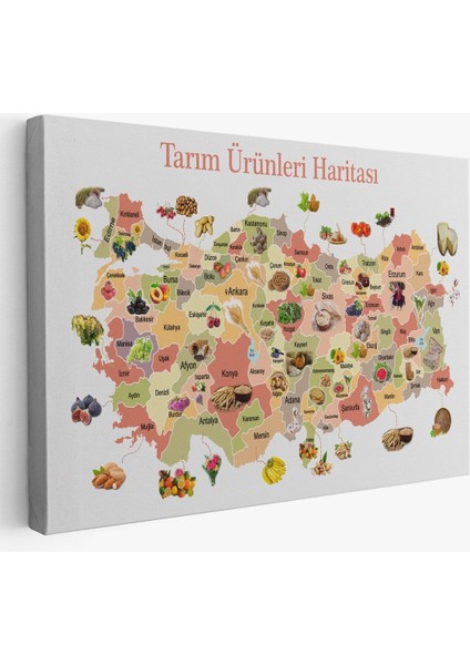 Tarım Ürünleri Yerli Malı Haftası Türkiye Haritası 1046