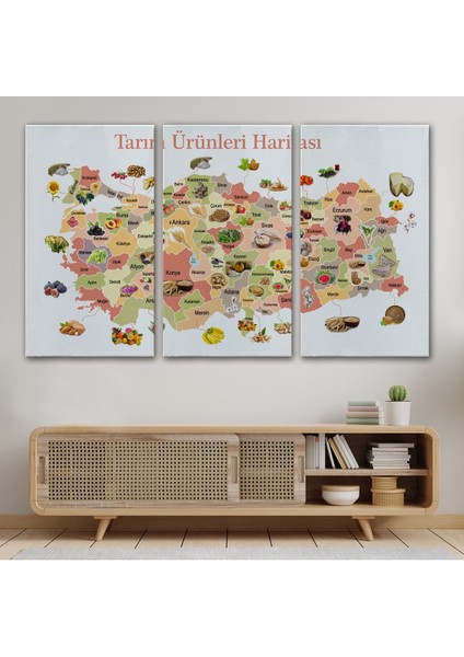 Tarım Ürünleri Yerli Malı Haftası Türkiye Haritası 1046 modelleri