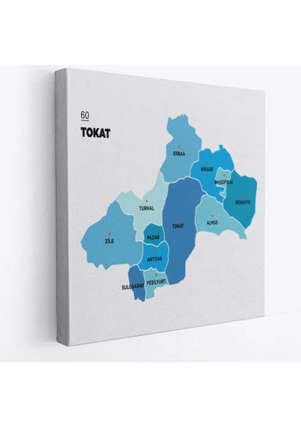 Tokat Ili ve Ilçeler Haritası Dekoratif Kanvas Tablo 1468