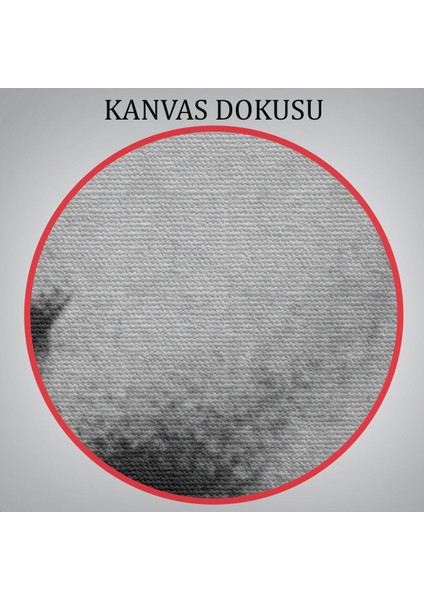 Friedrich Nietzsche Siyah Beyaz Dekoratif Kanvas TABLO-5963 indirimleri