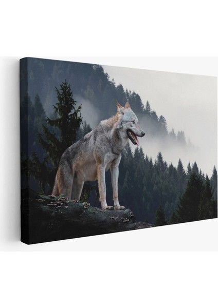 Bozkurt Dekoratif Kanvas Tablo 1148