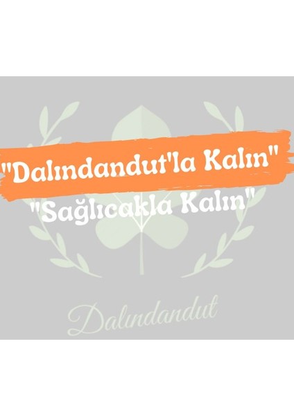 Yeni Mahsül Doğal Kurutulmuş Organik Dut Kurusu (Yerli) 150 gr modelleri