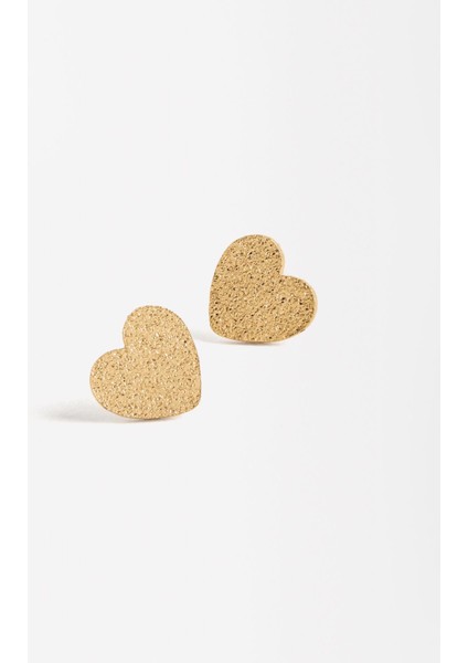 Efektli Kalp Küpe fiyatları